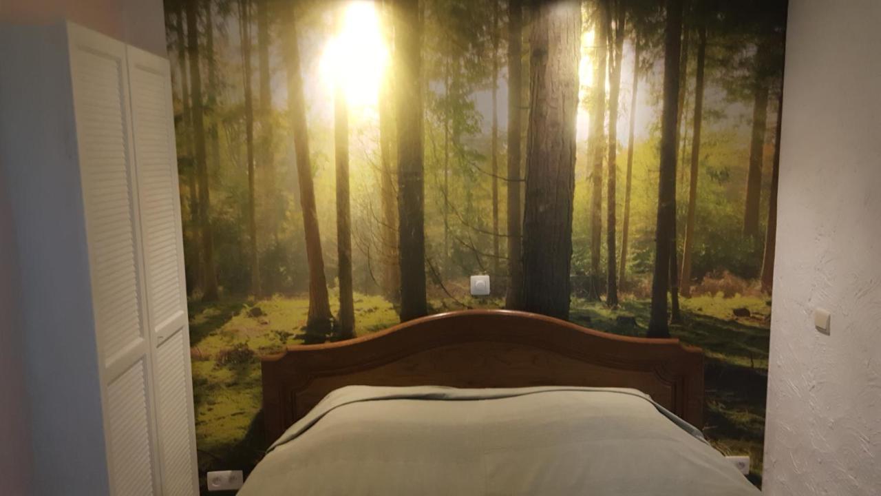 Die Alte Schule Haeuschen St. Vith Exteriör bild